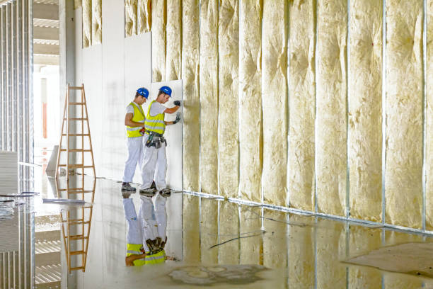 Best Specialized Insulation Services in Matheny, CA